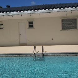 Negocio Nelson Painting Miami Fl