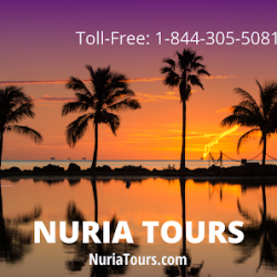 Negocio Nuria Tours