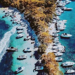Negocio Ocean View Yacht Charters