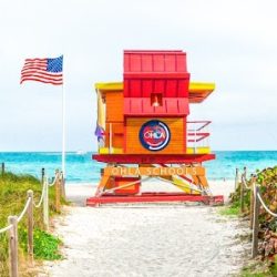 Negocio Ohla Miami