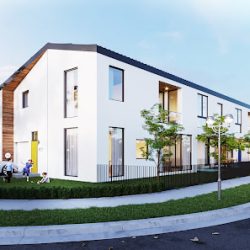 Negocio Olanz Architecture + Design