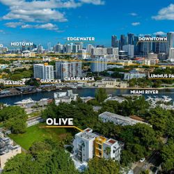 Negocio Olive Apartments