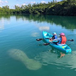 Negocio Padl - Virginia Key North Point Park And Trails