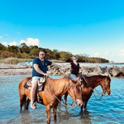 Negocio Palomino Ranch & Tours Llc