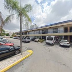 Negocio Panaderia Tlaxcala