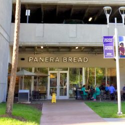 Negocio Panera Bread