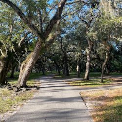 Negocio Parque Matheson Hammock