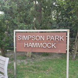 Negocio Parque Simpson