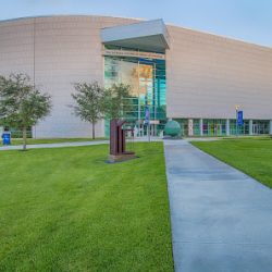 Negocio Patricia And Phillip Frost Art Museum
