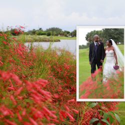 Negocio Photos By Rosy & Just Married By Rosy