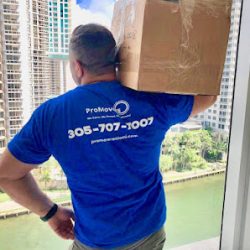 Negocio Pro Movers Miami