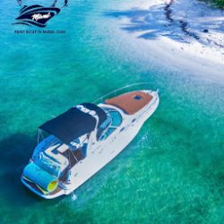 Negocio Rent Boat In Miami