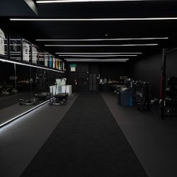 Negocio Rivera Performance & Recovery