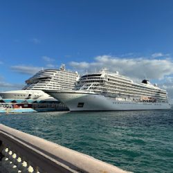 Negocio Royal Caribbean