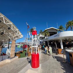 Negocio Rumbatours Miami