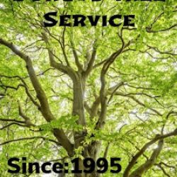 Negocio Sanchez Dorgys Land Services