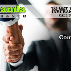 Negocio Sebanda Insurance