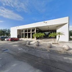 Negocio Seguros Cisneros