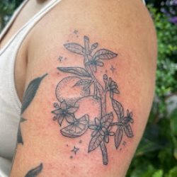 Negocio Skye Ink Tattoo Studio