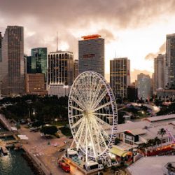 Negocio Skyviews Miami Observation Wheel