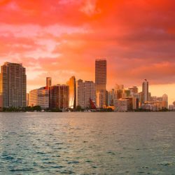 Negocio South Florida Real Estate - Michael Arias Team