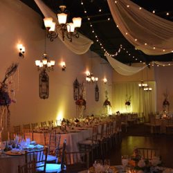 Negocio Starlight Party Rental