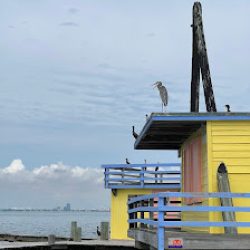 Negocio Stiltsville Miami Boat Tours