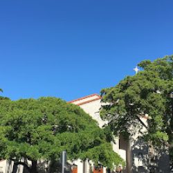 Negocio Sts.peter & Paul Catholic School
