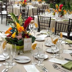 Negocio Style Catering
