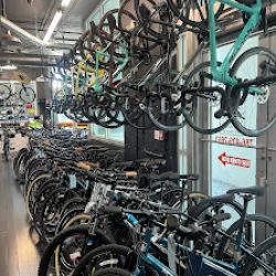 Negocio Suncycling Cycle And Fitness Shop