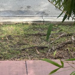 Negocio Superior Landscaping & Lawn Service