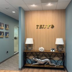 Negocio Tejjy Inc. - 3d Laser Scanning Services In Florida