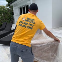Negocio The Miami Movers
