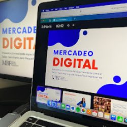 Negocio The Online Bridge