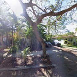 Negocio The Tiny House Design District Free Mangos!