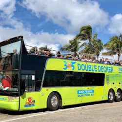 Negocio Tours Miami