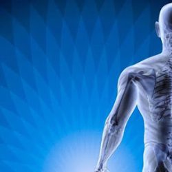 Negocio Trauma & Rehab Associates Chiropractic Miami