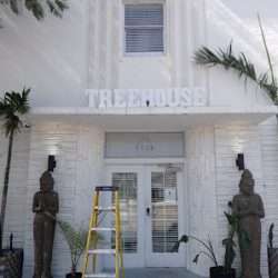 Negocio Treehouse Studio