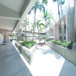 Negocio University Of Miami Intensive English Program