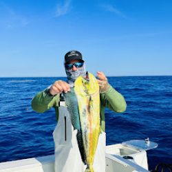 Negocio Upisle Fishing Charter