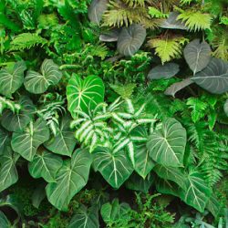 Negocio Verde Vertical Inc - Vertical Garden Miami