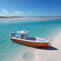 Negocio Vibe Charter Co.