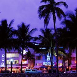 Negocio Visit Miami Tours