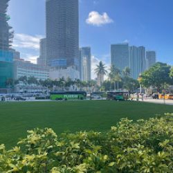 Negocio Water Taxi Miami