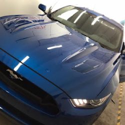 Negocio Window Tinting Auto Polarizado Car Alarm & Stereos (car Wash))